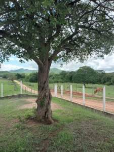 Site Planning- Palau, Oceania- leanani2@gmail.com