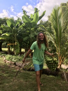 Tree trimming/ Health, Permaculture, Ag business plan, Market Gardening-Hawaii​, Oceania.- jared.morsey@ywam-kauai.com
