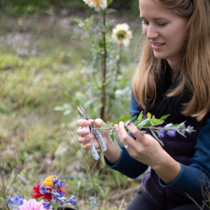 Urban gardening, arid soil, rain gardening expert- Texas, N. America- howell.claire.e@gmail.com