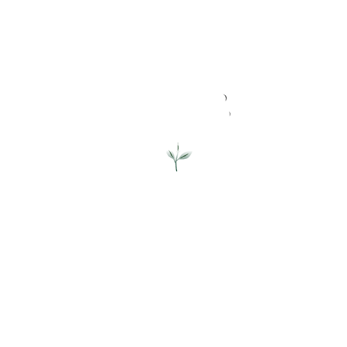 The Share Network